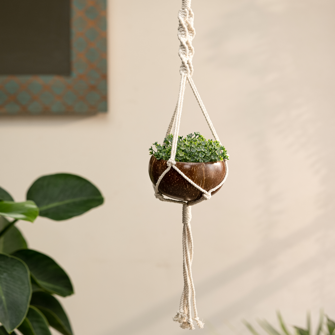 Coconut Shell Macrame Planter | Perfect for Indoor Plants and Succulents