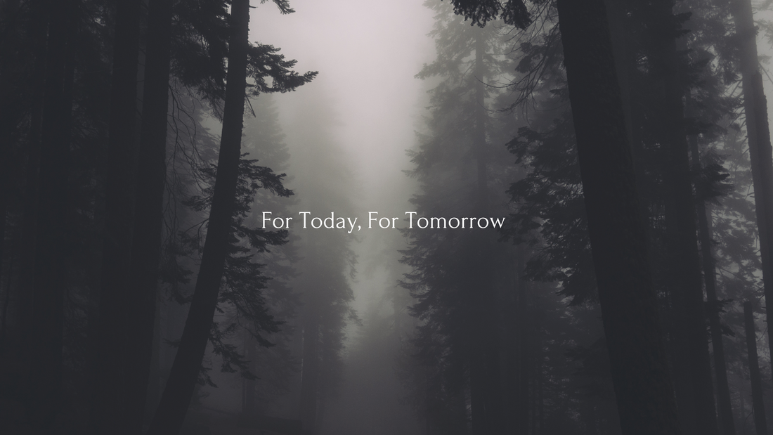 Sustainable Living Made Simple: A Practical Guide to an Eco-Friendly Lifestyle