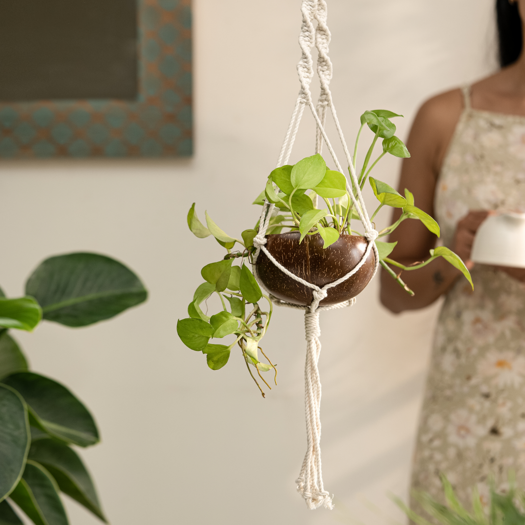 Coconut Shell Macrame Planter | Perfect for Indoor Plants and Succulents
