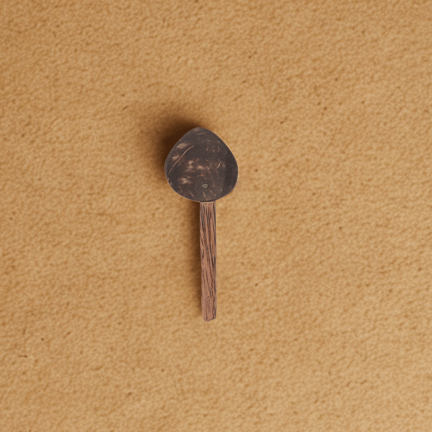 Coconut Shell Spice Spoon | Single Piece